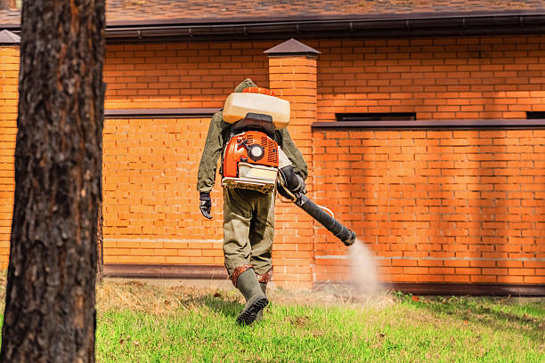 Trusted Ant Control service in Etowah, TN - Nex Pest Control